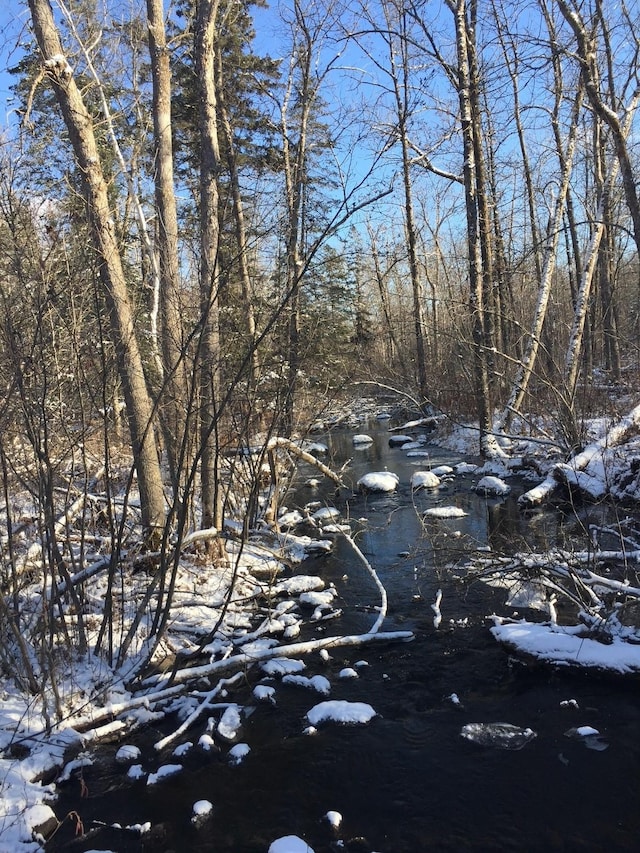 3324 52nd St SW, Pequot Lakes, MN 56472 - view of nature