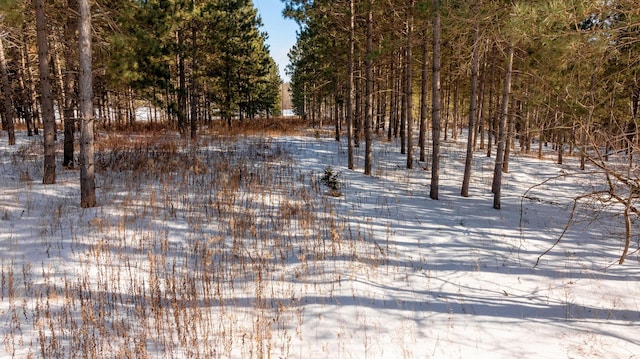 3324 52nd St SW, Pequot Lakes, MN 56472 - view of snowy yard