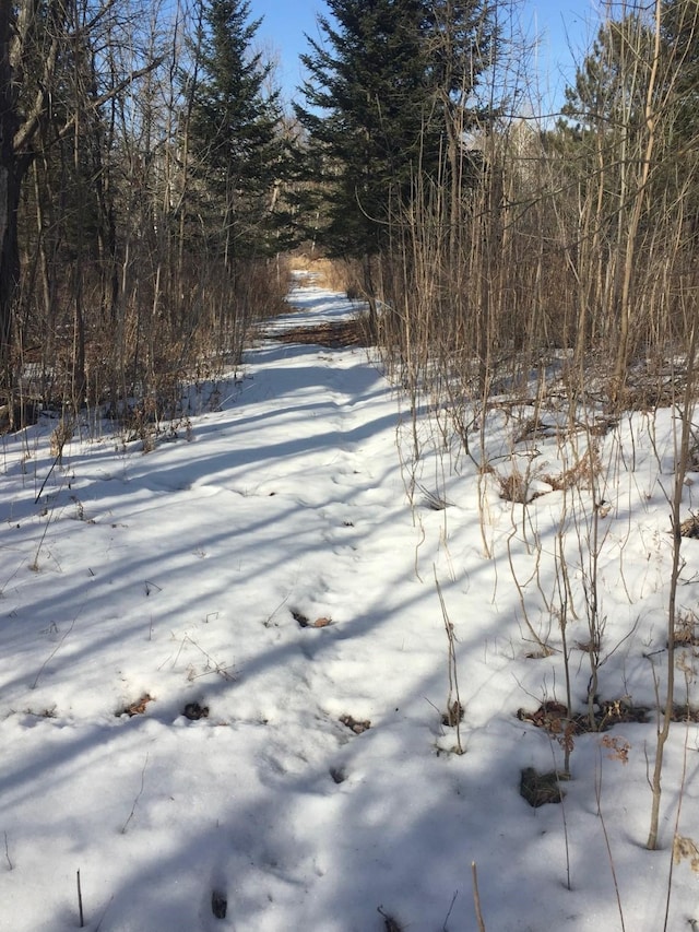 3324 52nd St SW, Pequot Lakes, MN 56472 - view of snowy yard