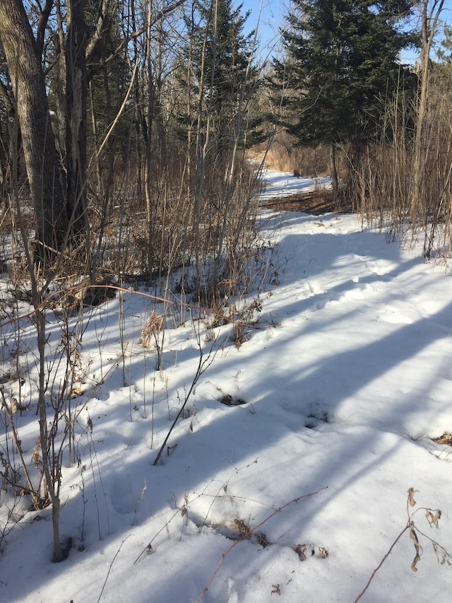 3324 52nd St SW, Pequot Lakes, MN 56472 - view of yard layered in snow