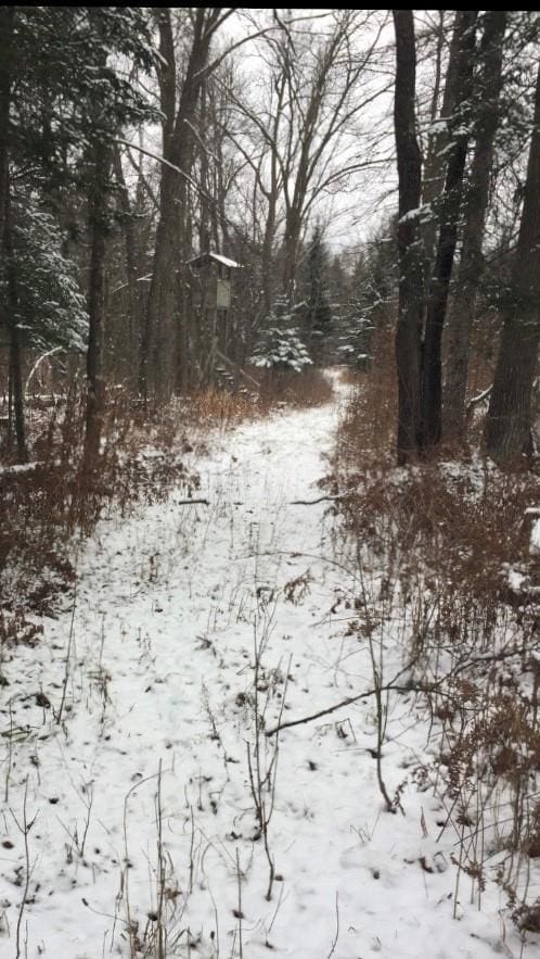3324 52nd St SW, Pequot Lakes, MN 56472 - view of snowy landscape