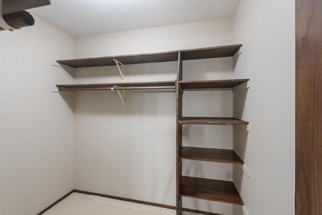 walk in closet with carpet