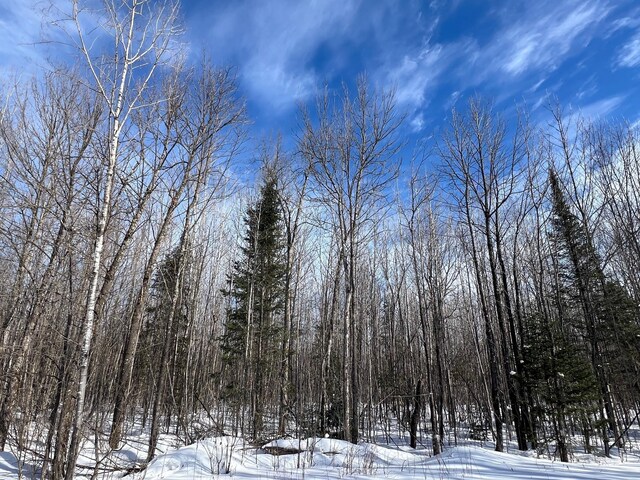 86469 Nature Rd, Butternut, WI 54514 - photo 19
