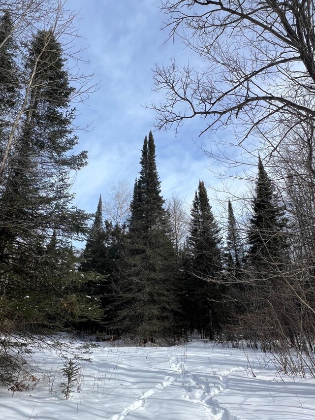 86469 Nature Rd, Butternut, WI 54514 - photo 20