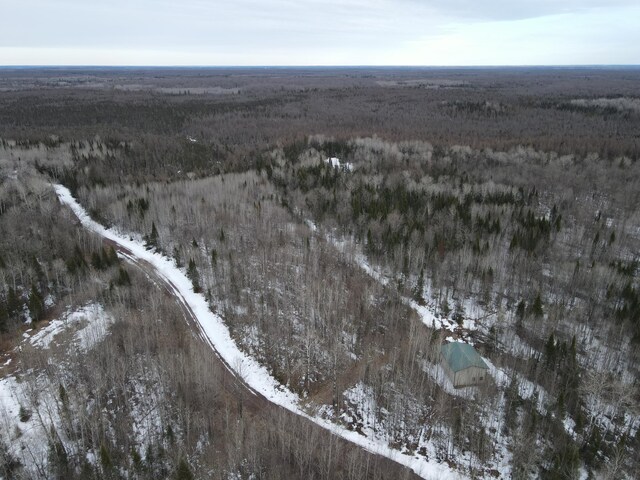 86469 Nature Rd, Butternut, WI 54514 - photo 3