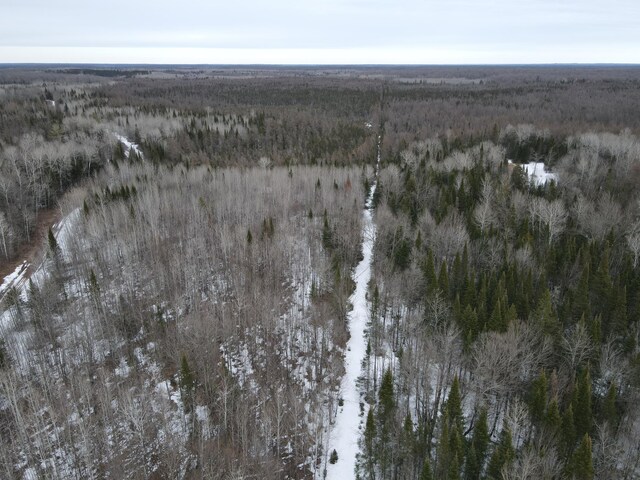 86469 Nature Rd, Butternut, WI 54514 - photo 25