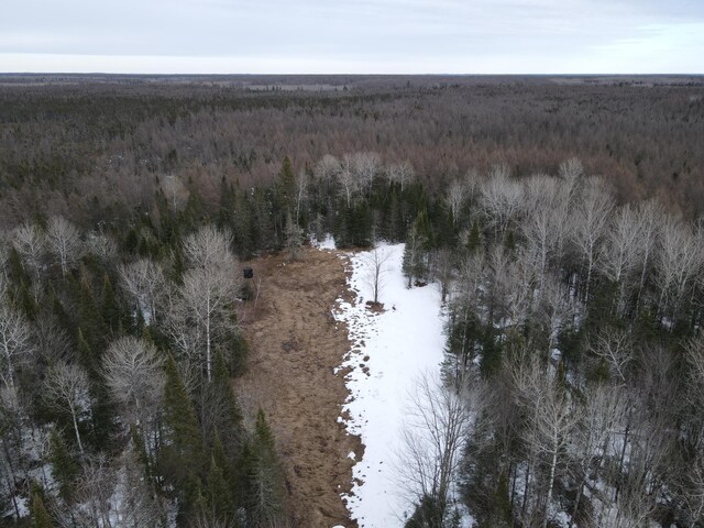 86469 Nature Rd, Butternut, WI 54514 - photo 8