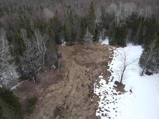 86469 Nature Rd, Butternut, WI 54514 - photo 26