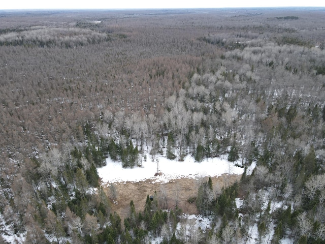 86469 Nature Rd, Butternut, WI 54514 - photo 9