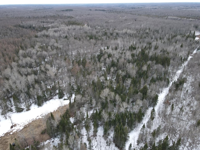 86469 Nature Rd, Butternut, WI 54514 - photo 27