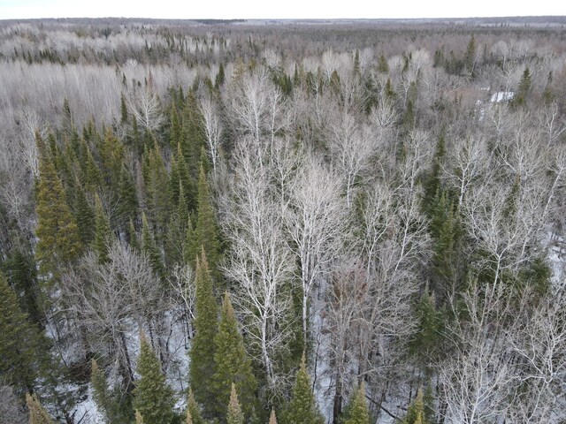 86469 Nature Rd, Butternut, WI 54514 - photo 29