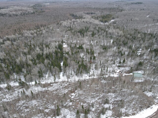 86469 Nature Rd, Butternut, WI 54514 - photo 33