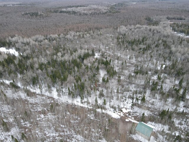 86469 Nature Rd, Butternut, WI 54514 - photo 34