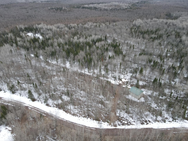 86469 Nature Rd, Butternut, WI 54514 - photo 35