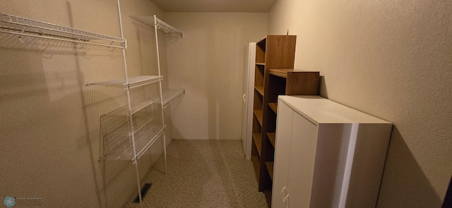 spacious closet featuring carpet flooring