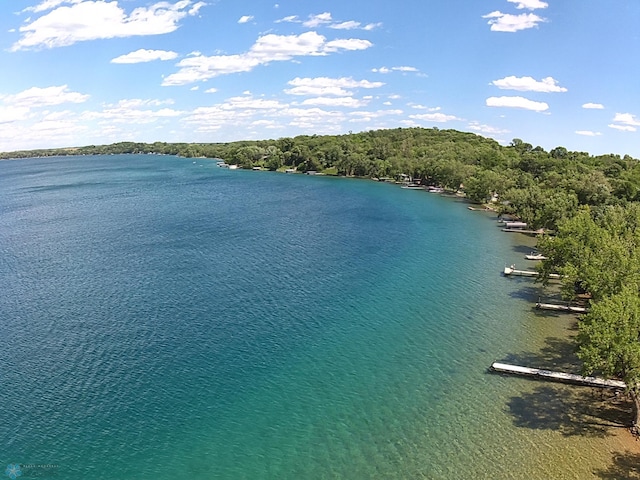 property view of water with a wooded view