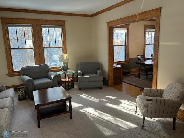 living area with crown molding, light carpet, and a wealth of natural light