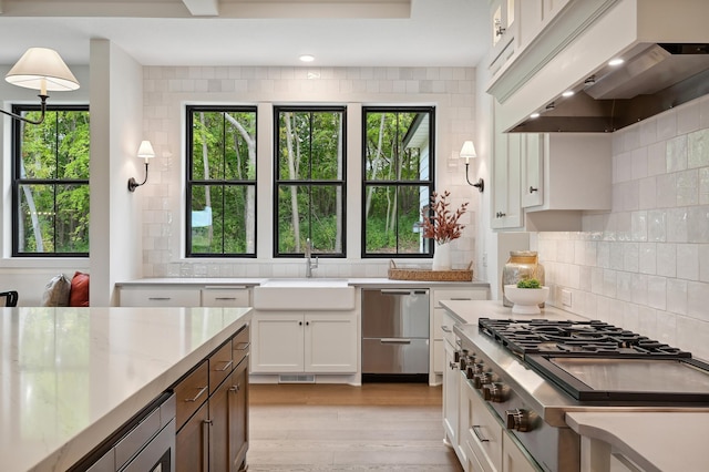 kitchen with sink, premium range hood, stainless steel appliances, a healthy amount of sunlight, and white cabinets