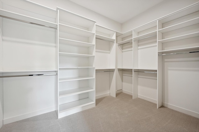 walk in closet featuring light colored carpet