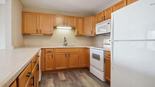 kitchen featuring wood finished floors, light countertops, white appliances, and a sink