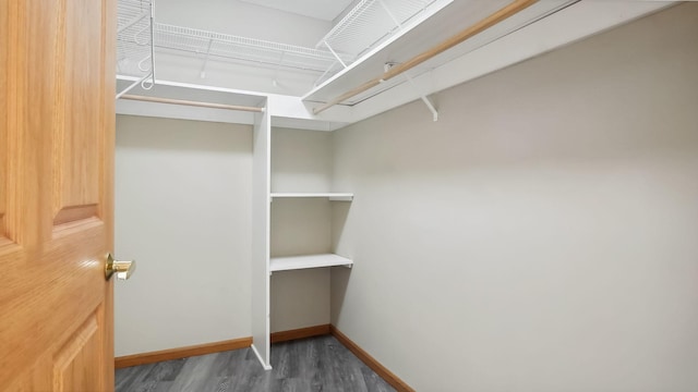 walk in closet featuring wood finished floors