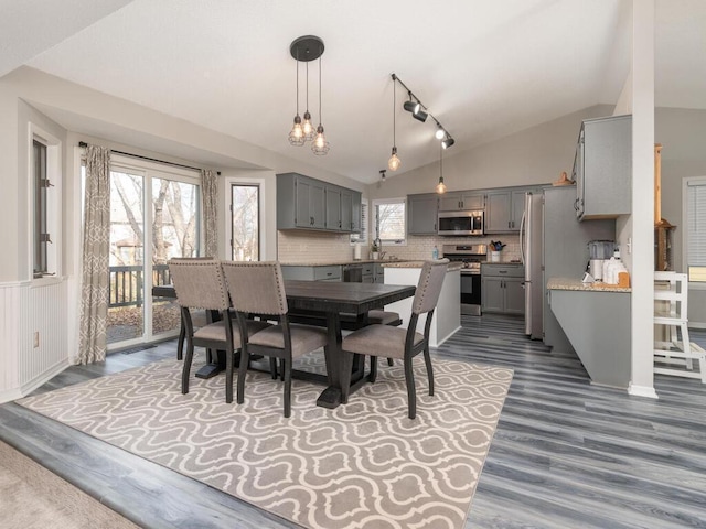 dining space featuring sink, plenty of natural light, dark hardwood / wood-style floors, and vaulted ceiling