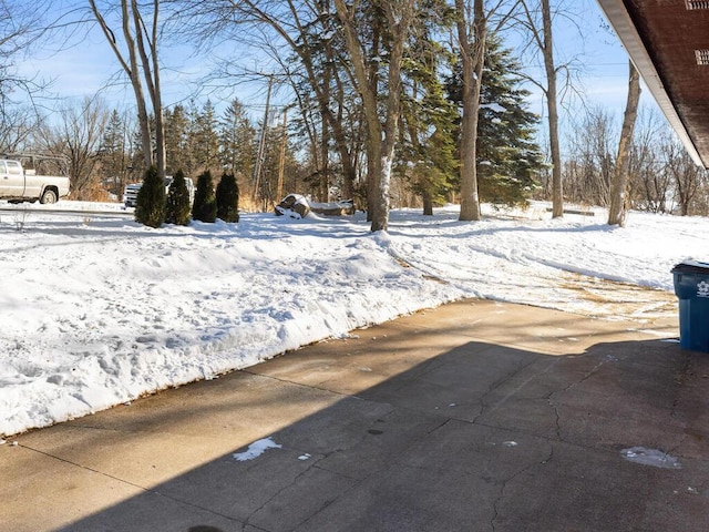 view of yard covered in snow