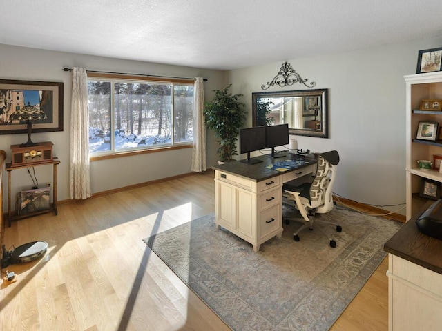 office space with light hardwood / wood-style flooring