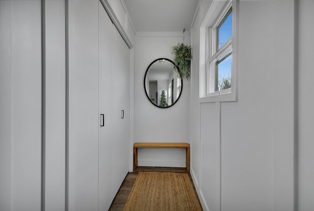 corridor featuring dark wood-style flooring