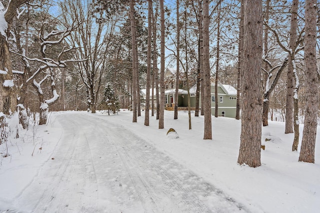 yard layered in snow featuring a garage