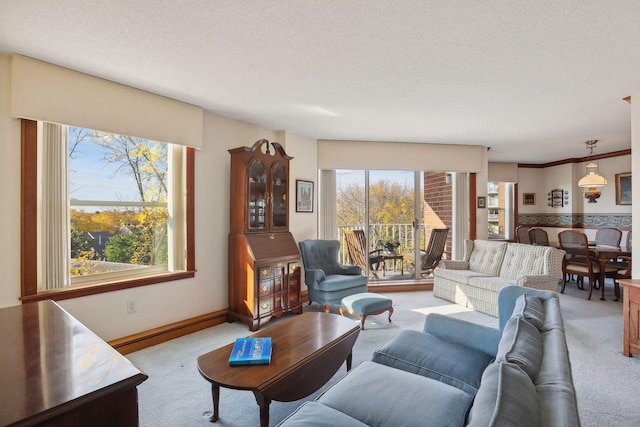 carpeted living room with a textured ceiling