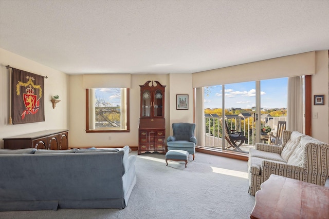 carpeted living room featuring a textured ceiling