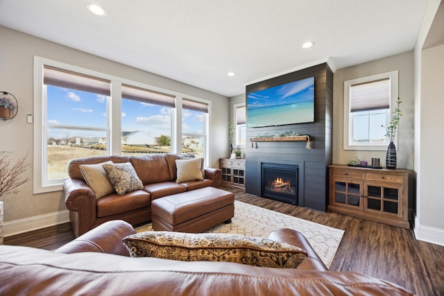 living area with baseboards, wood finished floors, a textured ceiling, a fireplace, and recessed lighting