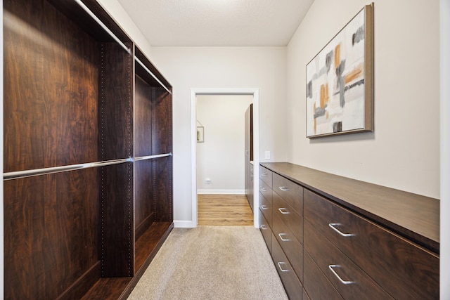 spacious closet with carpet floors