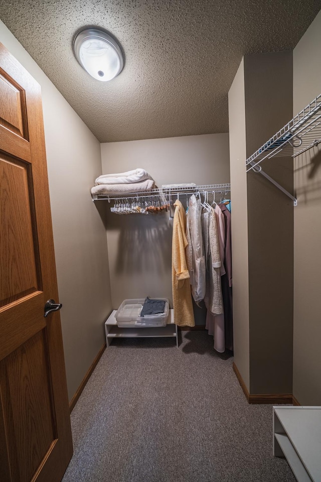 walk in closet featuring carpet