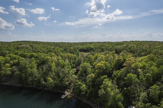 31628 Pickerel Lake Rd, Detroit Lakes, MN 56501 - view of wooded area