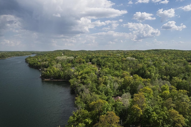 31628 Pickerel Lake Rd, Detroit Lakes, MN 56501 - bird's eye view of a heavily wooded area and a large body of water