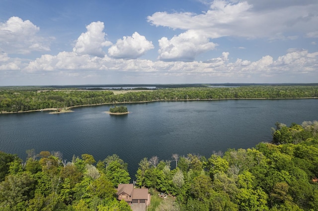 31628 Pickerel Lake Rd, Detroit Lakes, MN 56501 - bird's eye view of a heavily wooded area and a nearby body of water