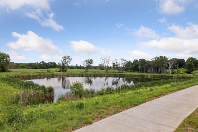 11454 Blazingstar Ln, Lake Elmo, MN 55042 - photo 14