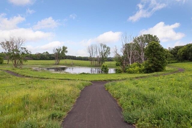 11454 Blazingstar Ln, Lake Elmo, MN 55042 - photo 16