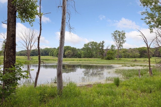 11454 Blazingstar Ln, Lake Elmo, MN 55042 - photo 18