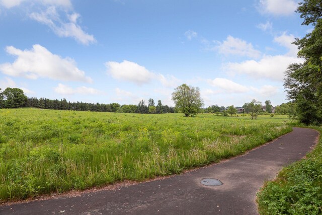 11454 Blazingstar Ln, Lake Elmo, MN 55042 - photo 19