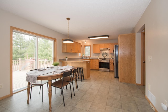 8075 211th Ave NW, Nowthen, MN 55330 - view of dining space