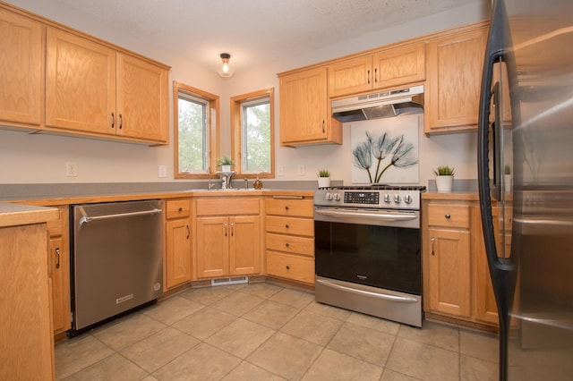 8075 211th Ave NW, Nowthen, MN 55330 - kitchen with stainless steel appliances, under cabinet range hood, light tile patterned floors, and light countertops