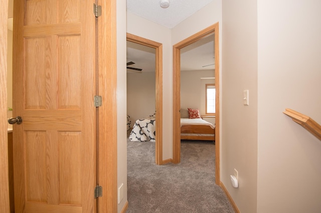 8075 211th Ave NW, Nowthen, MN 55330 - hall with carpet floors and baseboards