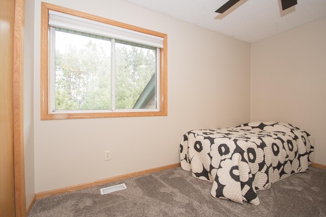 8075 211th Ave NW, Nowthen, MN 55330 - bedroom featuring carpet flooring, baseboards, and ceiling fan