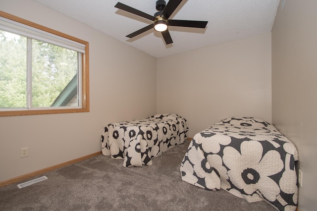 8075 211th Ave NW, Nowthen, MN 55330 - carpeted bedroom featuring ceiling fan, vaulted ceiling, and baseboards