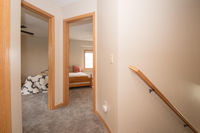 8075 211th Ave NW, Nowthen, MN 55330 - corridor with an upstairs landing, carpet, and baseboards