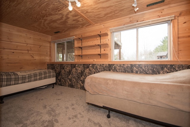8075 211th Ave NW, Nowthen, MN 55330 - carpeted bedroom with wood walls and wooden ceiling