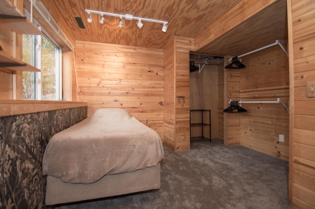 8075 211th Ave NW, Nowthen, MN 55330 - bedroom featuring track lighting, wood walls, wood ceiling, and carpet